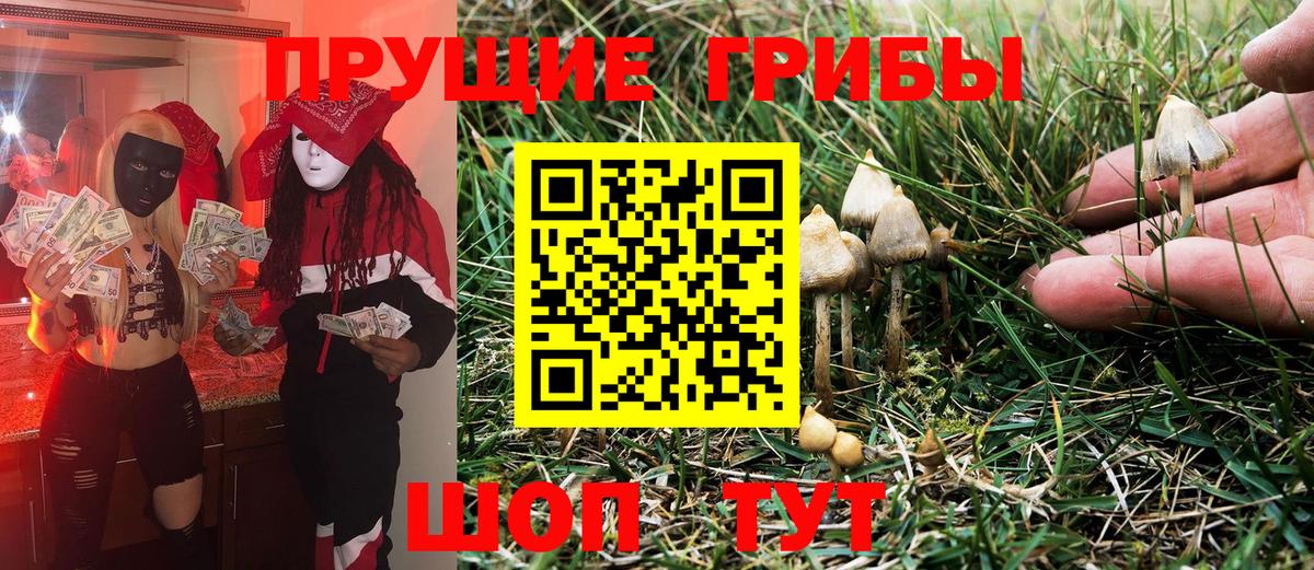 Псилоцибиновые грибы Cubensis Нижний Тагил